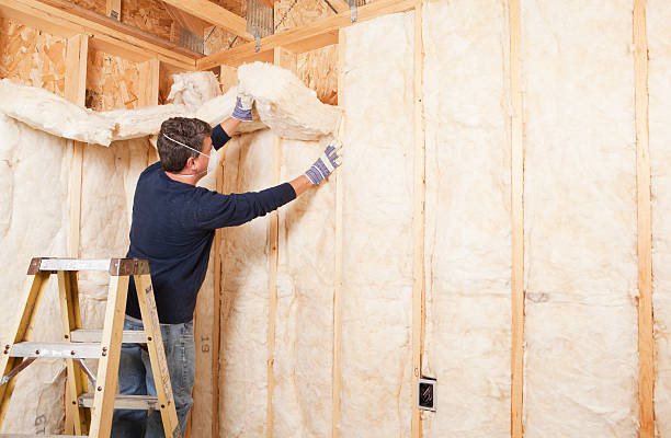 Best Pipe and Duct Insulation  in Boulder Hl, IL